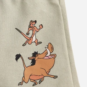 Conjunto infantil manga curta rei leão verde